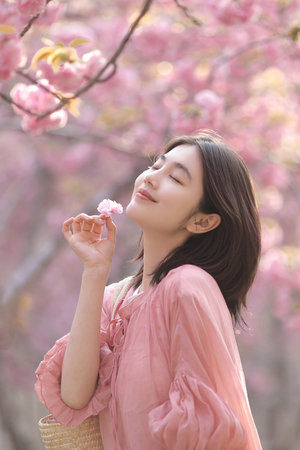 国产免费观看高清电视剧大全