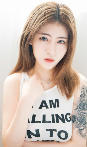 《金花瓶楷梅花5》