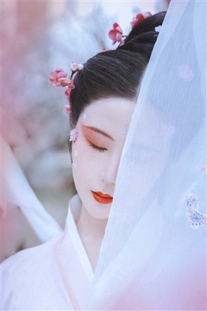 金梅瓶在线观看